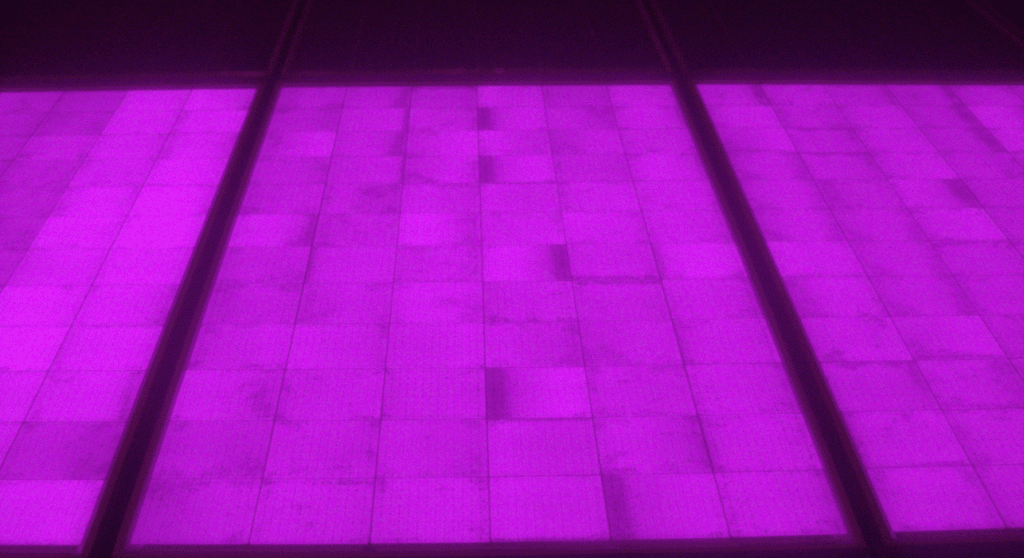 Formation photovoltaïque à l'électroluminescence dans le diagnostic de centrales solaires