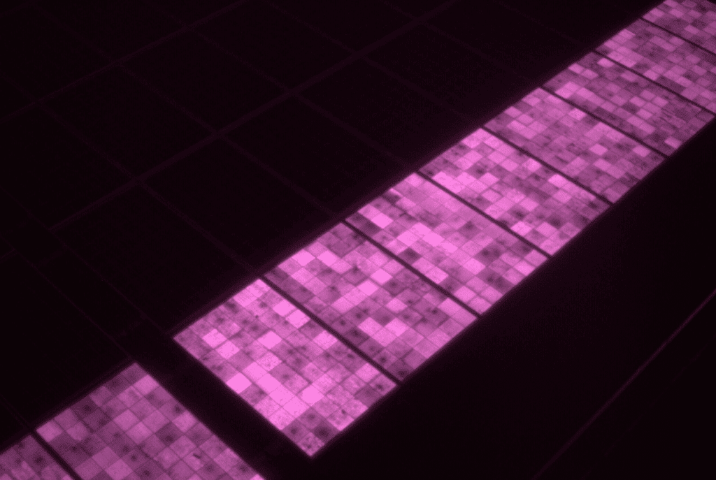Electroluminescence à l'occasion d'un diagnostic photovoltaïque dans une centrale solaire